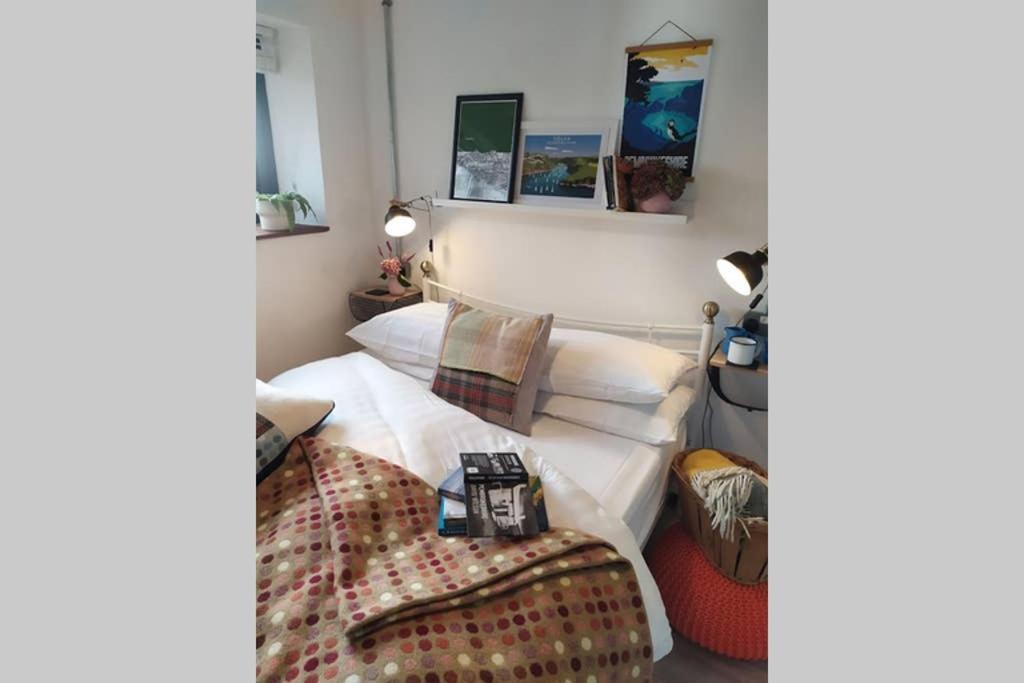 Milking Shed Cottage Narberth Extérieur photo